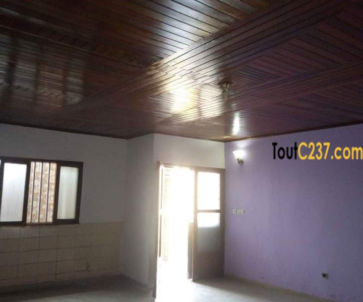 Maison villa à loué à Kotto Douala