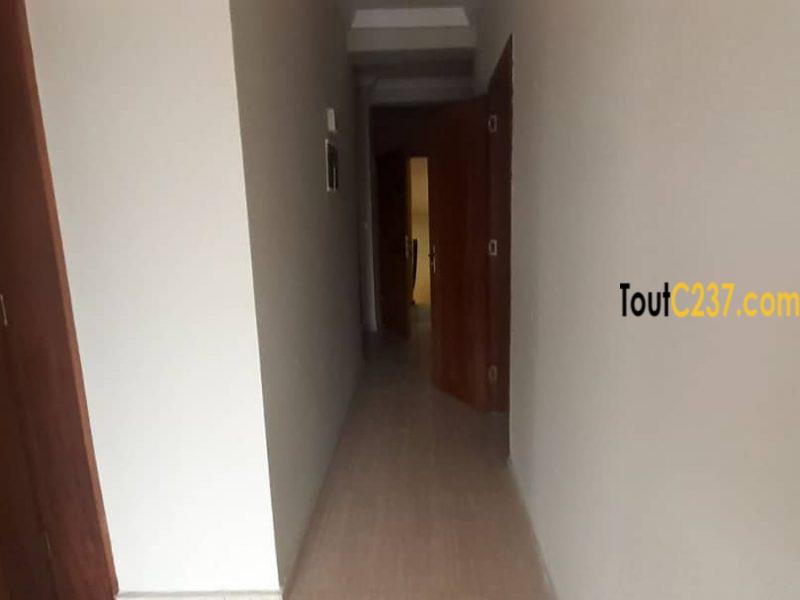 Appartement Neuf à louer à Bonamoussadi Douala