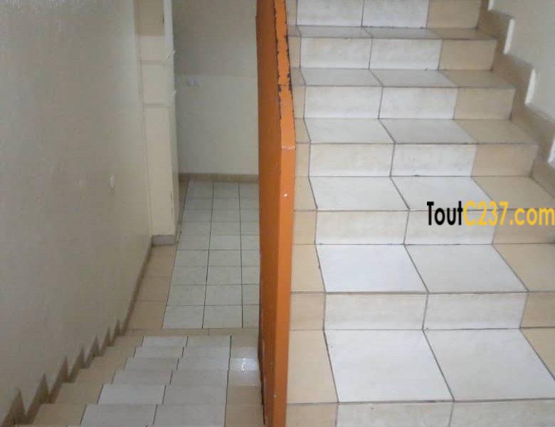 Appartement à louer à Deido Douala