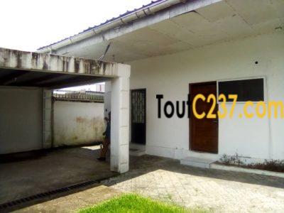 Villa à loué à Bonapriso Douala