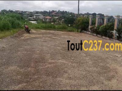 Terrain à vendre à yassa cité chirac, Douala