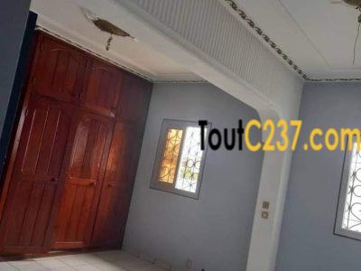 Villa à louer à kotto, Douala