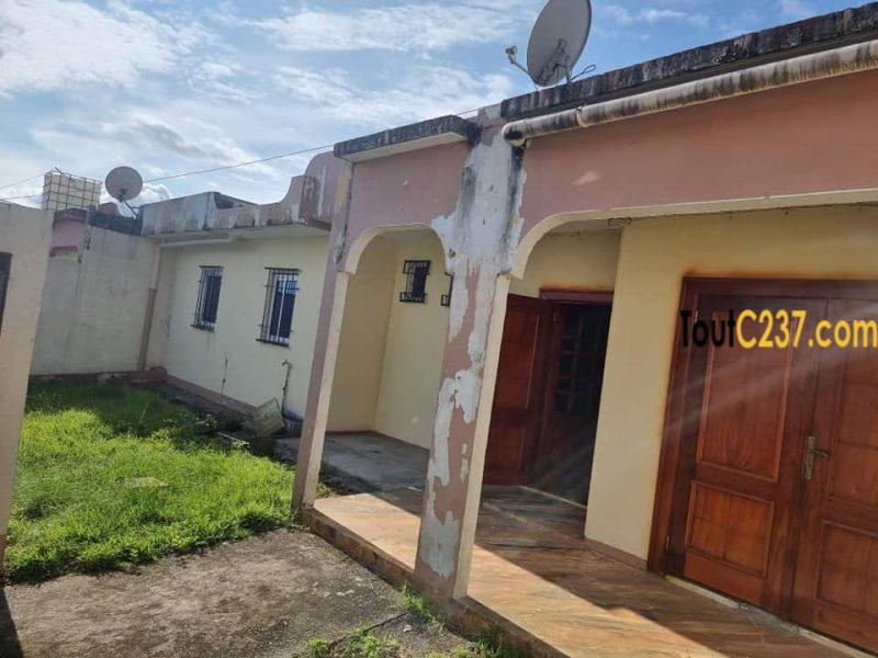 Villa sic à louer à Kotto Douala