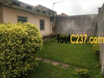 Maison à louer à Bonamoussadi Douala