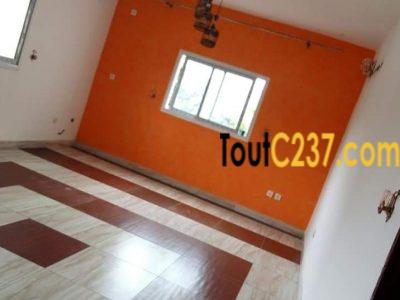 Appartement àlouer à Kotto Douala