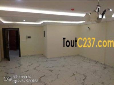 Appartement neuf à louer à Akwa Douala
