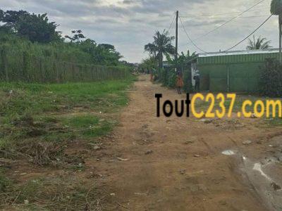 Terrain à vendre à ndogpassi Doualaa