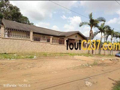 Maison villa à louer à pk13 Douala