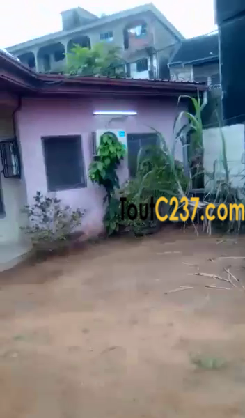 Maison à vendre à Kotto Douala