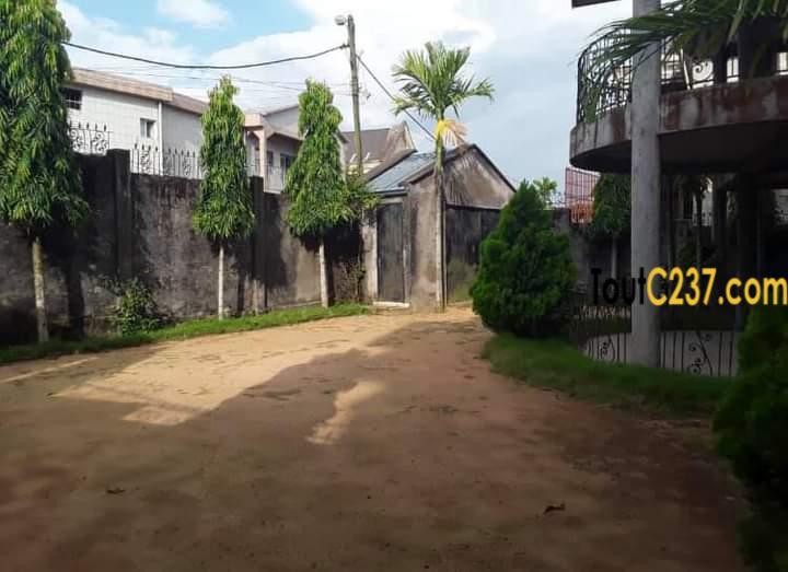 Duplex à vendre à Logpom Douala