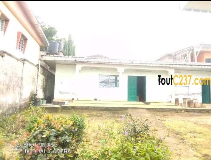 Villa à vendre à Logpom Douala