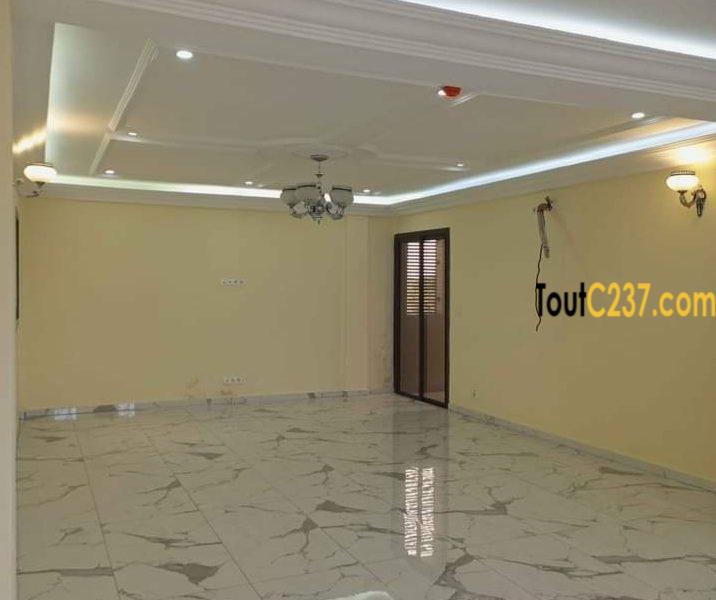 Appartement neuf à louer à Akwa Douala
