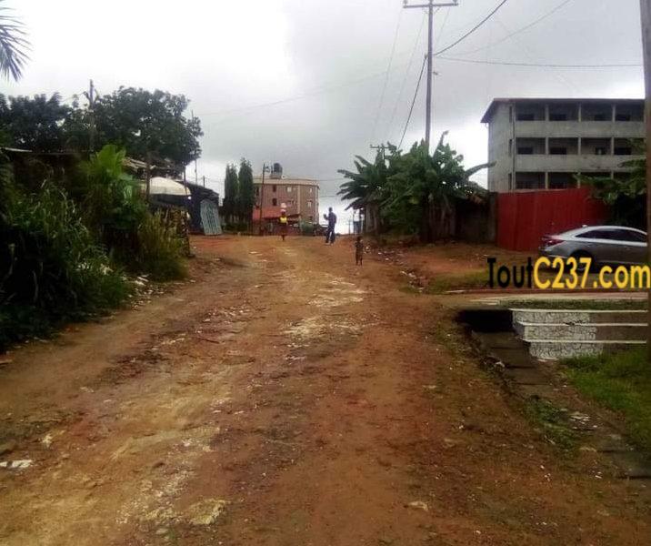 Terrain à vendre à Logpom Douala