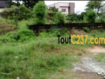 Terrain à vendre à Logpom Douala