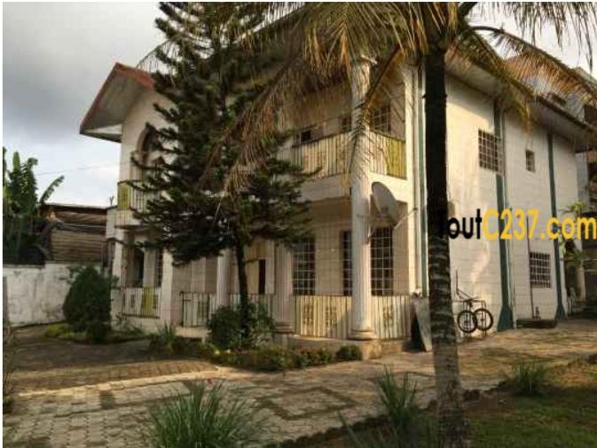 Duplex Ã  vendre Ã  Logpom Douala