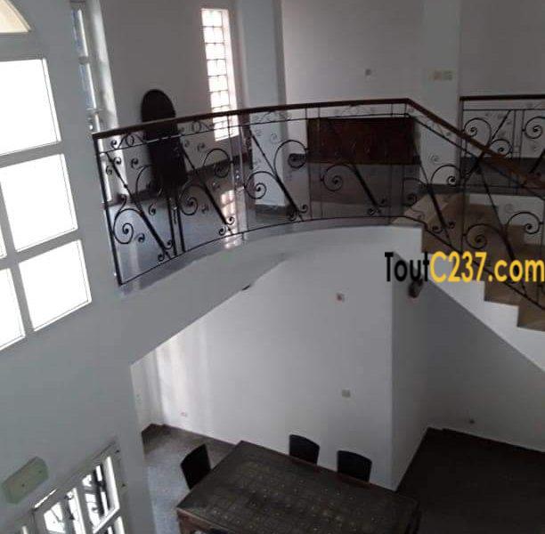 Duplex meublé à louer à Bali Douala