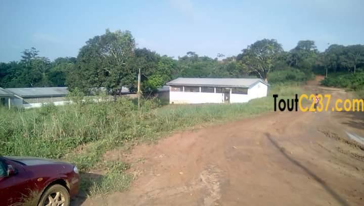 Terrain à vendre à pk17 Douala