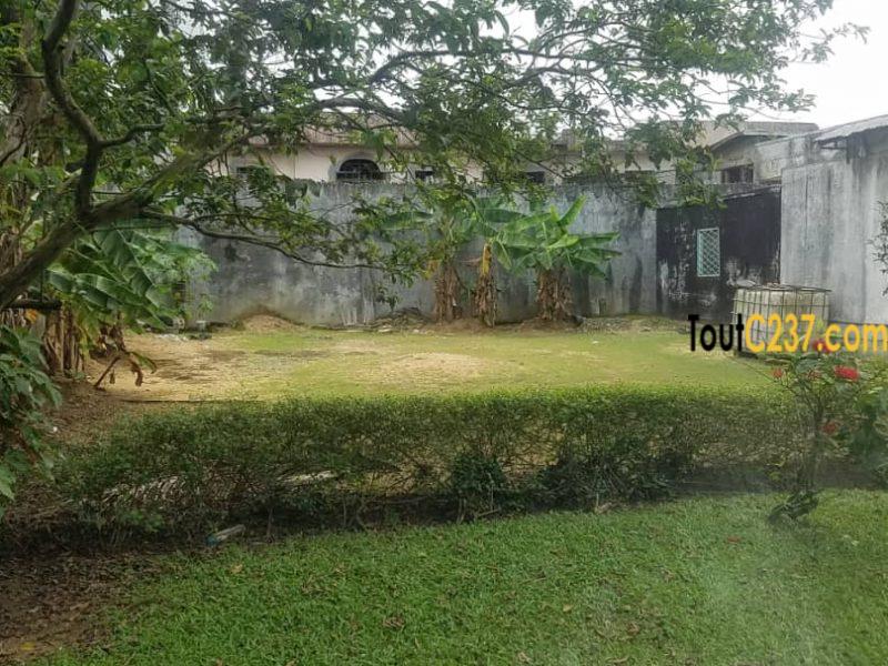 Maison sic à vendre à Kotto Douala