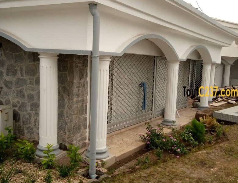 Maison à louer à Bonapriso Douala