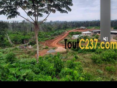 Terrain à vendre à Pk17 Douala