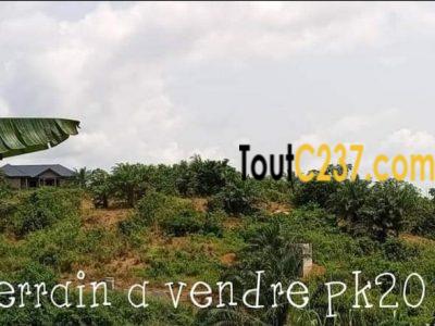 Terrain à vendre à pk20 Douala