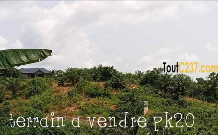 Terrain à vendre à pk20 Douala