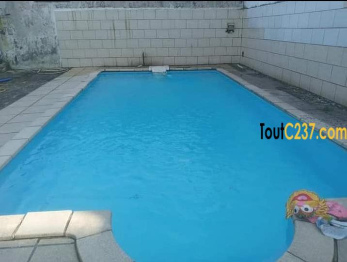 Appartement avec piscine à louer à Bonapriso