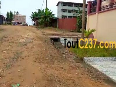 Terrain àvendre à Logpom Douala