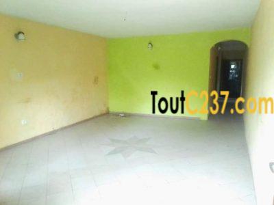 Immeuble à vendre à Kotto Douala