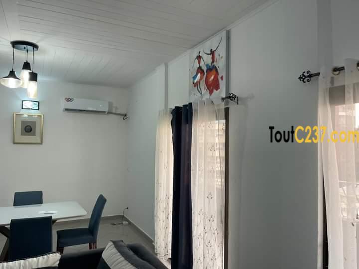 Appartement meublé à louer à Akwa Douala