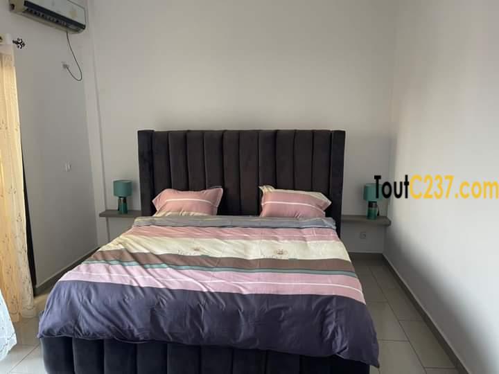 Appartement meublé à louer à Akwa Douala