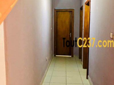 Appartement meublé à louer à Kotto Douala