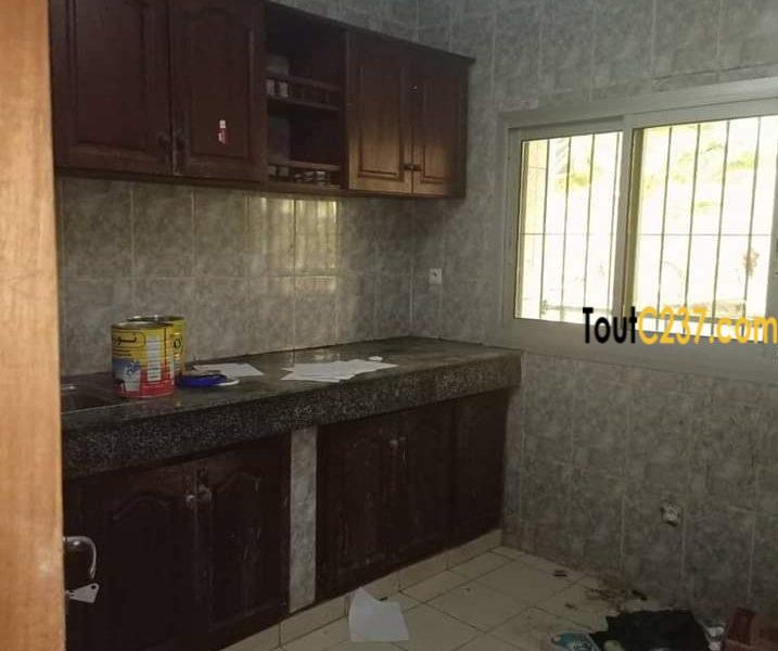 Appartement à louer à bonanjo Douala