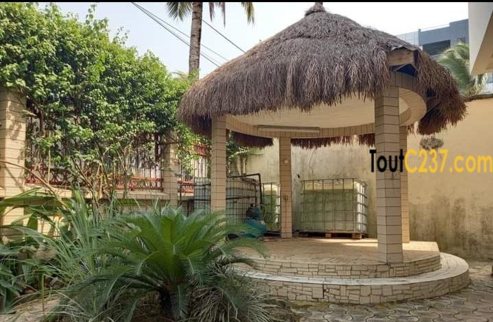Duplex à louer à Bonapriso Douala