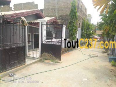 Maison à vendre à Logpom Douala