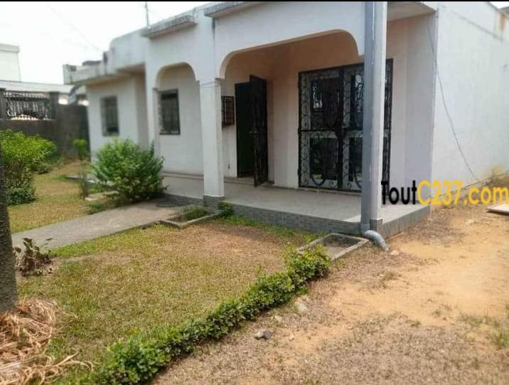 Maison sic à louer à kotto Douala