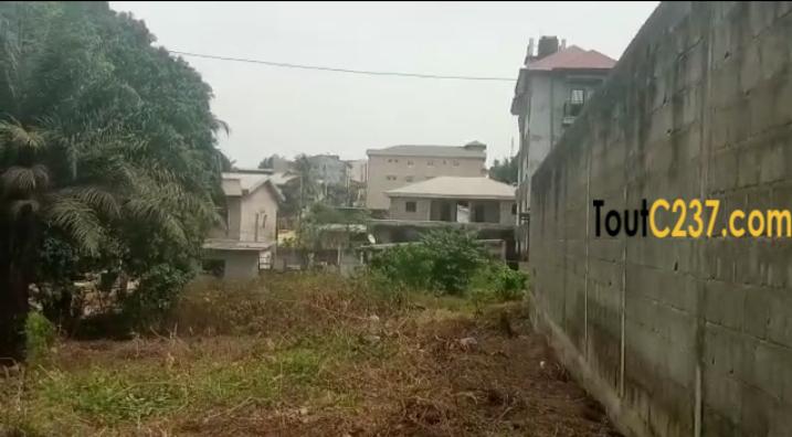 Terrain à vendre à Kotto Douala