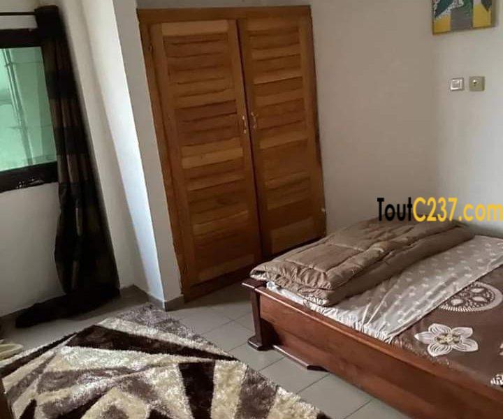 Appartement de 4 Chambres meublés à louer à Akwa Douala