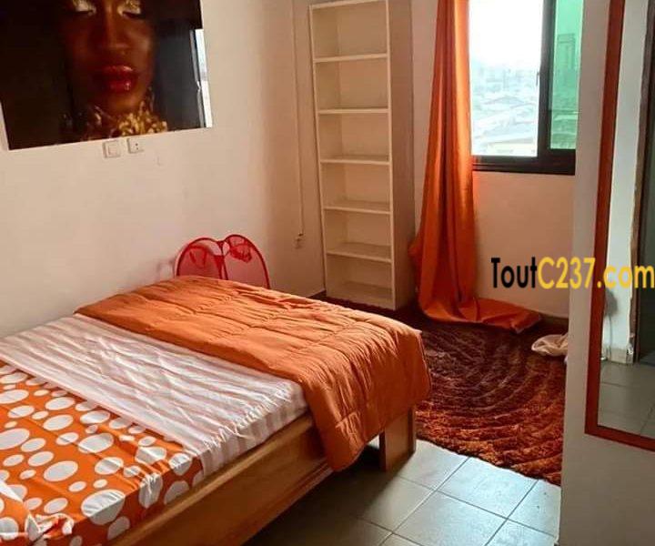 Appartement de 4 Chambres meublés à louer à Akwa Douala