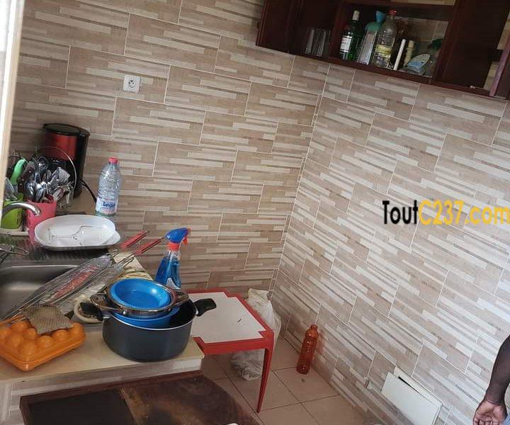 Vaste Appartement à louer à Makepe Douala