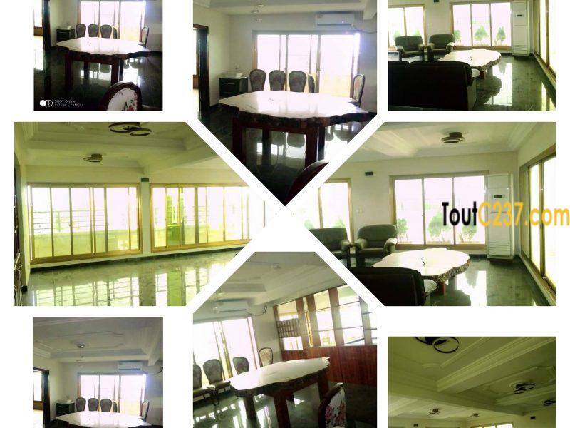 Offre Entreprise: Appartement à louer au Grand Mall Douala