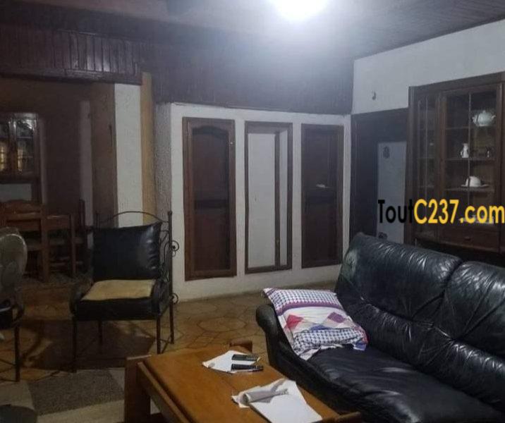 Maison, villa à louer à Kotto Douala