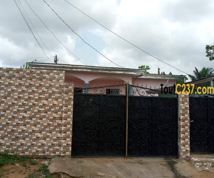 Maison à vendre à Japoma Douala