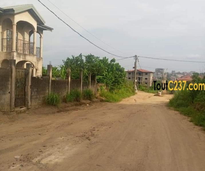 Terrains à vendre à Japoma Douala