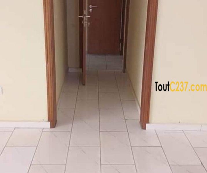 Appartement à louer à Bonamoussadi Doualaa