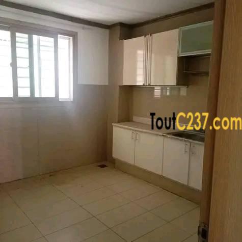 Appartement Vip à louer à Bonapriso Douala