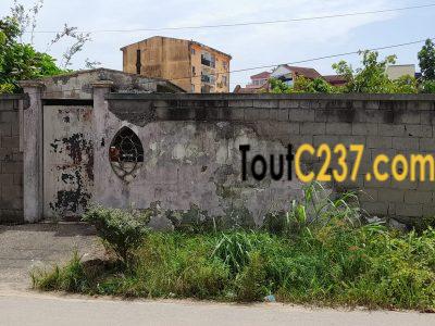 Terrain à vendre à Bonapriso Douala