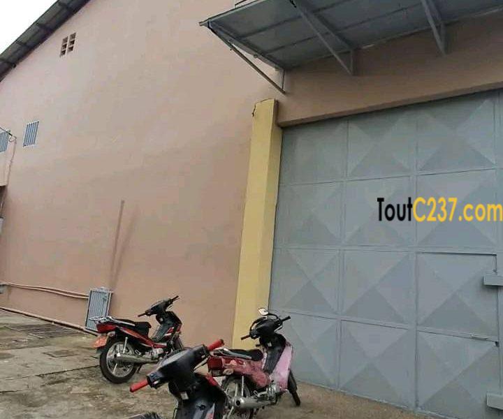 Entrepôt à louer à Akwa Douala