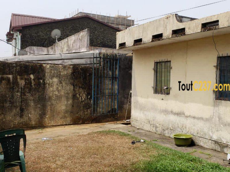 Maison villa à vendre à la cité des palmiers Douala