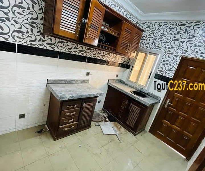 Appartement Neuf à louer Akwa Douala